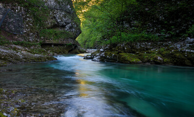 Spring in Vintgar Gorge in Slovenia