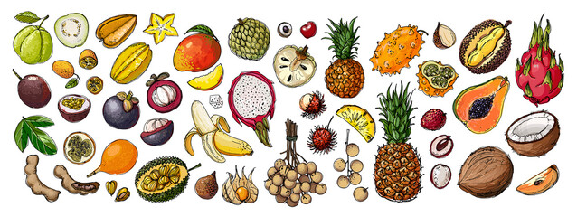 Food vector Exotic fruits, orange, lemon, apple, berries