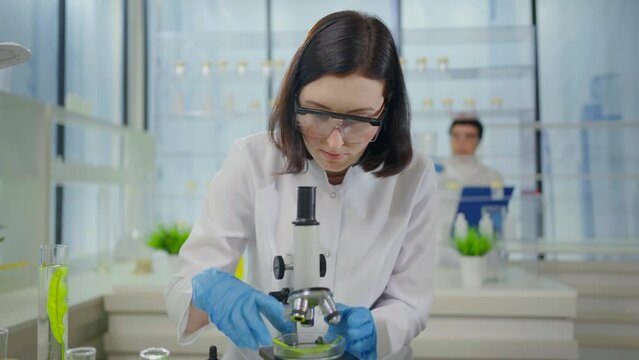 modern laboratory plant research microscope and test tubes with plants scientist in a white coat at work portrait
