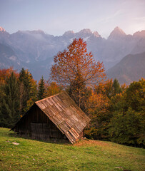 Autumn Colors in Vrata valley in Julian Alps