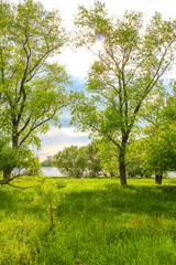 Fototapeta premium North German river nature landscape panorama Germany.