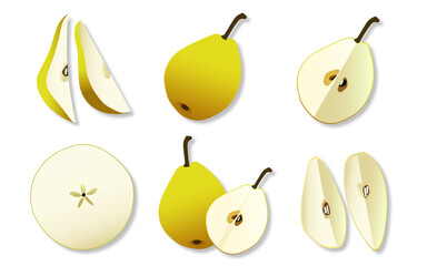 洋梨のベクターイラスト（ドロップシャドウ）