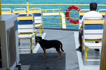 A man travels aboard a ferry with his dog on a leash in Mexico. Selective focus
