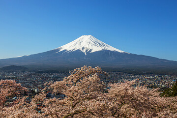 Fototapeta premium 富士山頂 fujiyama japan world heritage