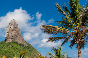 Fototapeta na wymiar A praia da Conceição, em Fernando de Noronha, apresentando a bela paisagem do morro do pico com as lindas palmeiras