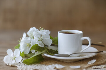 Fototapeta na wymiar Coffee in a white cup on a white saucer with a teaspoon and a branch of a flowering apple tree. Morning breakfast with coffee.