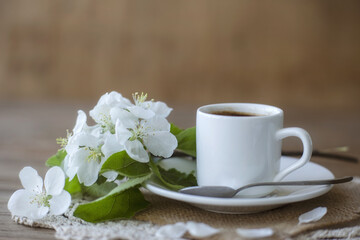 Coffee in a white cup on a white saucer with a teaspoon and a branch of a flowering apple tree. Morning breakfast with coffee.
