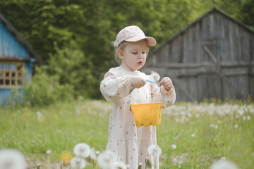 Beautiful child with dandelion flowers in park in summer. Happy kid having fun outdoors.