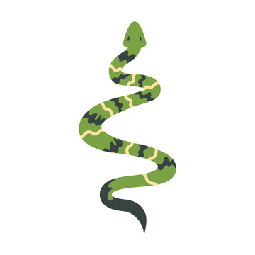 green snake animal wild