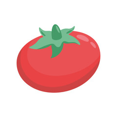 fresh tomato vegetable