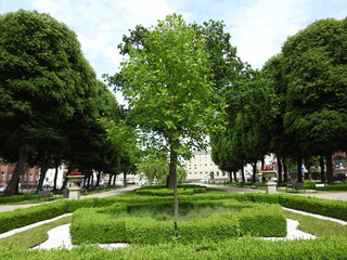 The Sienkiewicz avenue in Slupsk, Poland