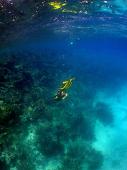 free diving and snorkeling in the caribbean sea, Venezuela