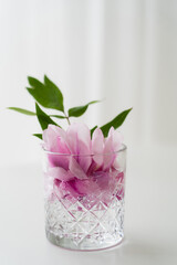 crystal glass with pink floral petals and green leaves in tonic on white background.
