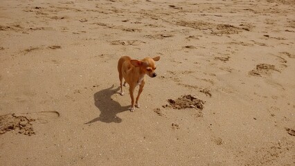 En la Playa