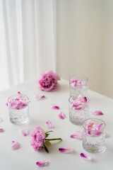 glasses with tonic and floral petals near pink peonies on white tabletop and grey background.