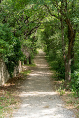 chemin de randonnée autour de l'abbaye d'Aiguebelle