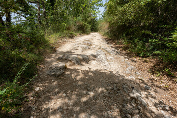 Fototapeta premium chemin de randonnée autour de l'abbaye d'Aiguebelle