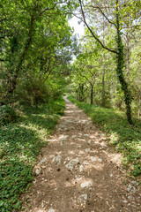 chemin de randonnée autour de l'abbaye d'Aiguebelle