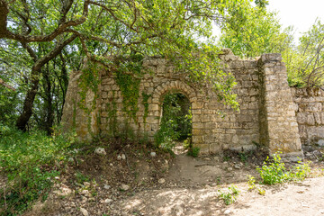 ruine près de l'abbaye d'Aiguebelle