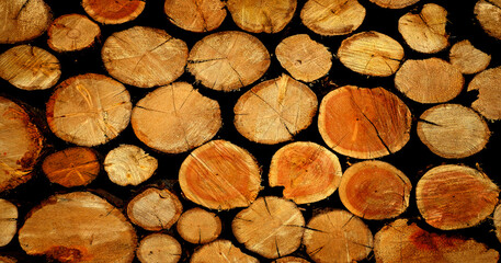 Stack of Wood Firewood Texture Wooden Cut Trees