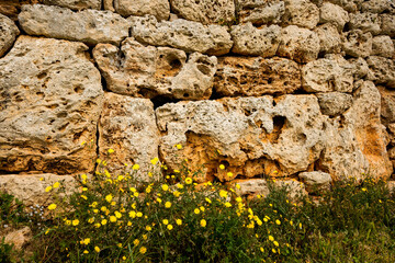 Santuario Talayótico de So na Caçana,pared del Talayot.Alaior.Menorca.Baleares.España. © Tolo
