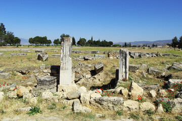 On the ruins of the ancient city of Hierapolis