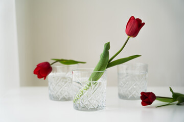 red tulips and glasses with clean water on white tabletop and grey background.