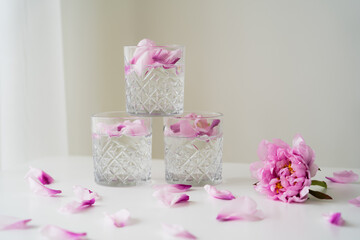 glasses with gin tonic near pink peony and petals on white surface and grey background.