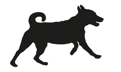 Black dog silhouette. Running appenzeller sennenhund puppy. Appenzeller cattle dog or appenzeller mountain dog. Pets. Isolated on a white background.