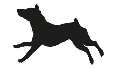 Black dog silhouette. Running and jumping zwergpinscher puppy. Miniature pinscher or king of the toys. Pet animals. Isolated on a white background.