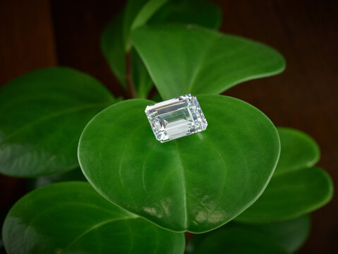 Ethical Emerald Diamond on Green Leaf
