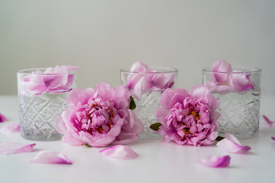 floral petals and pink peonies near glasses with tonic on white surface isolated on grey.