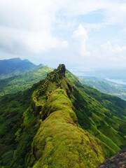 This image is of Rajgad fort situated near Pune, Maharashtra ,India. This fort was under...