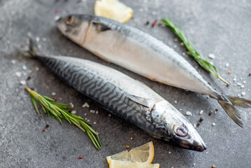 raw mackerel on stone background