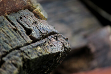 Contrasting texture of old wood in close-up