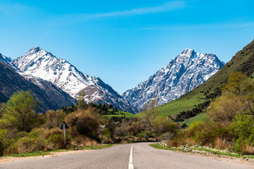 Fototapeta premium Road in a mountain gorge. Sunny day in the mountains.
