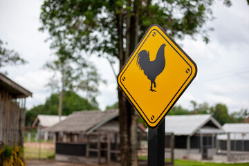 Chicken symbol for the chicken stall on the farm