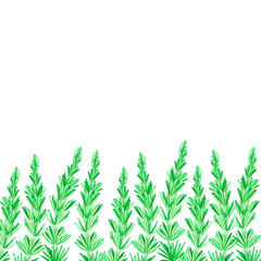 Rosemary banner. Watercolor illustration. Isolated on a white background. For your design.