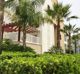 residencial con jardines  y palmeras