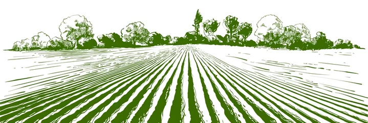 Rolgordijnen Vector boerderij veld landschap. Vorenpatroon in een geploegd voorbereid voor het planten van gewassen. Vintage realistische gravure schets illustratie. © mozart3737