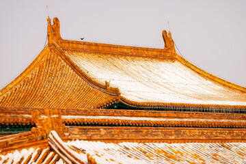 the forbidden city in beijing, china