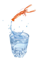 langoustine, eau, en verre, évasion, sauter, boire, isolé, aliment, blanc, frais, clapoter, froid, liquide, glace, fruits de mer, bouillonner, boisson, clair, bleu, sain, verser, fraîcheur, abattre