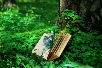 old book and wild flowers in forest, blurred natural green background. romantic inspiration image....