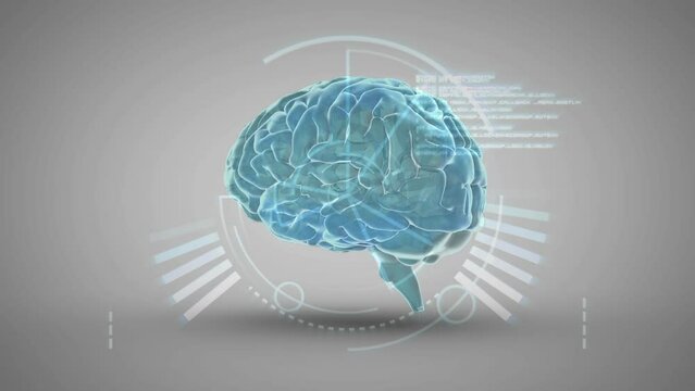 Animation of brain over white background