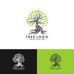 Tree logo design, roots vector - Tree of life logo design inspiration isolated on white background
