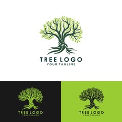 Obraz premium Tree logo design, roots vector - Tree of life logo design inspiration isolated on white background