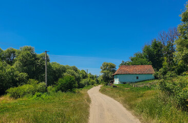 a narrow dirt road in the countryside