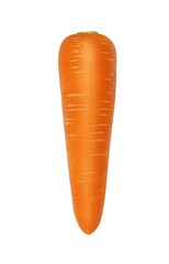 にんじん 人参 イラスト リアル 単体