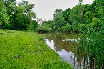 Fototapeta premium Summer landscape with river and blue sky, landscape with river and clouds, the river in the forest