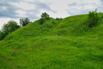 Summer landscape, grass and blue sky, landscape with trees and blue sky